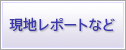 現地レポートなど