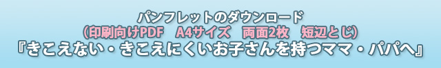 印刷用パンフレットPDFのダウンロード