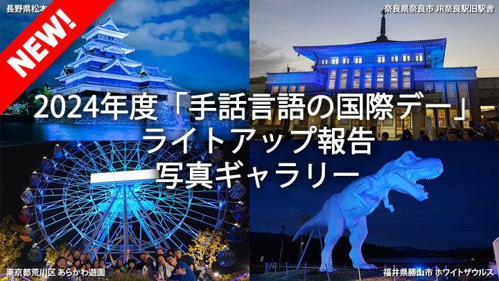 ライトアップ報告・写真ギャラリー