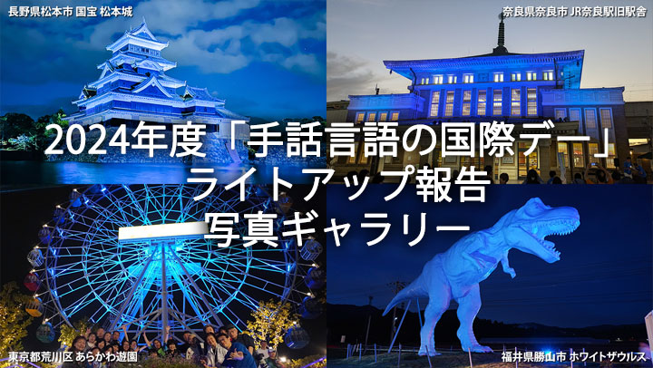 ライトアップ報告・写真ギャラリー